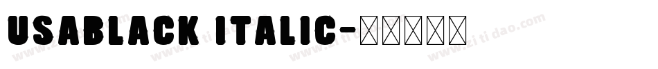 USABlack Italic字体转换